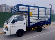 Hyundai H100 Truck