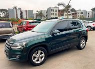 Volkswagen Tiguan 2013